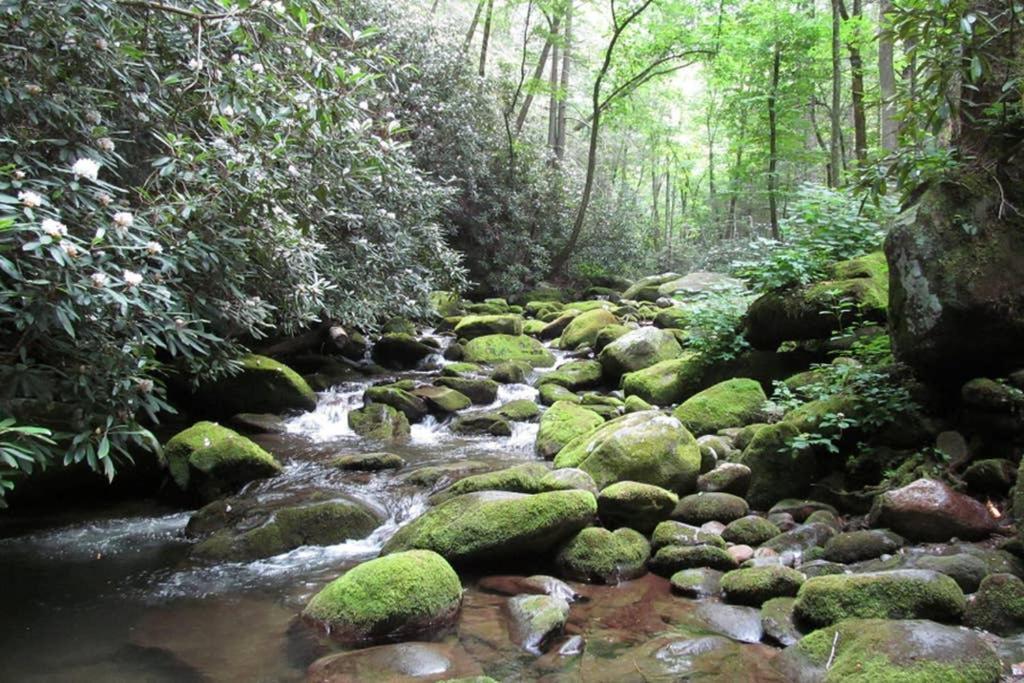 Ferienwohnung Downtown Gatlinburg Gem 102 - Walk To The Shops & Trails Exterior foto